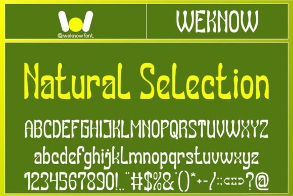 Natural Selection Font for Modern Branding Projects